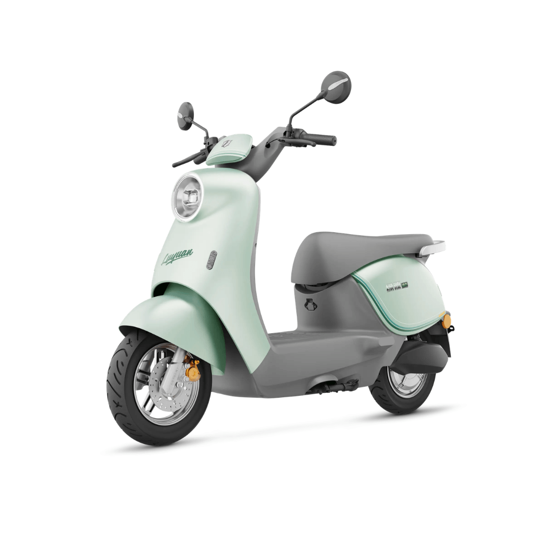 Luyuan MOK Electric Bike
